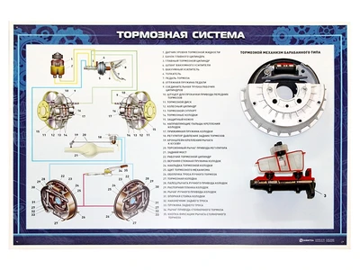 Стенд с разрезными агрегатами "Тормозная система" (категория "B") Zarnitza 1361220135