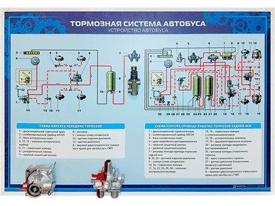 Стенд с разрезными агрегатами "Тормозная система автобуса" Zarnitza 677516914