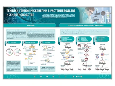 Сборный электрифицированный стенд "Техники генной инженерии в растениеводстве и животноводстве" Zarnitza 795123564