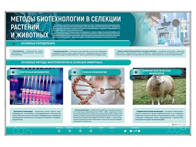 Сборный электрифицированный стенд "Методы биотехнологии в селекции растений и животных" Zarnitza 1363290579