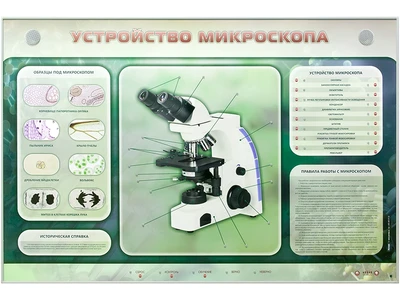 Электрифицированный стенд "Устройство микроскопа и правила работы c ним" Zarnitza 40218832