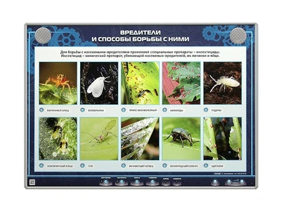 Электрифицированный стенд "Вредители и способы борьбы с ними" Zarnitza 1795025995