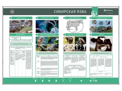 Электрифицированный стенд "Сибирская язва" Zarnitza 1835926236