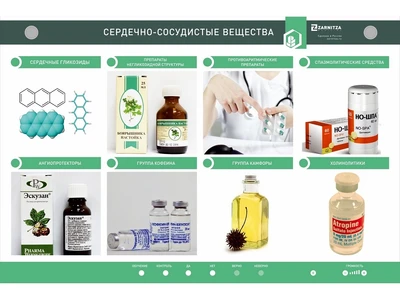 Электрифицированный стенд "Сердечно-сосудистые вещества" Zarnitza 12190333