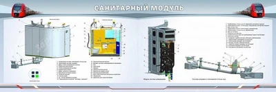 Информационный стенд двухсекционный "Санитарный модуль" Zarnitza 1273752959