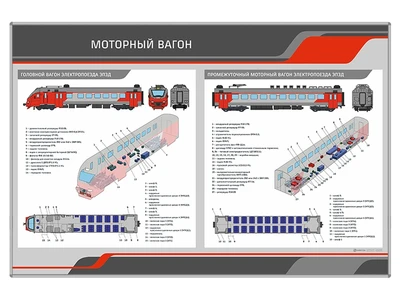 Информационный стенд "Моторный вагон" Zarnitza 2065329317