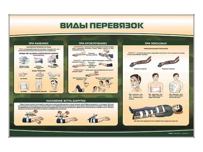Информационный стенд "Виды перевязок" Zarnitza 812880251