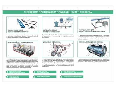 Светодинамический стенд с набором сменных фолий Zarnitza 388566628