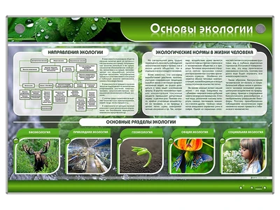 Электрифицированный стенд "Основы экологии" Zarnitza 1039634006
