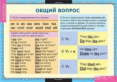 Комплект таблиц для начальной школы «Английский язык. Вопросительные и отрицательные предложения» 1149061663