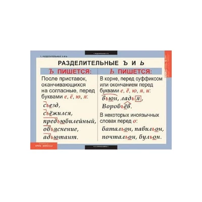 Комплект таблиц «Русский язык. 5 класс» Новый диск 625794160