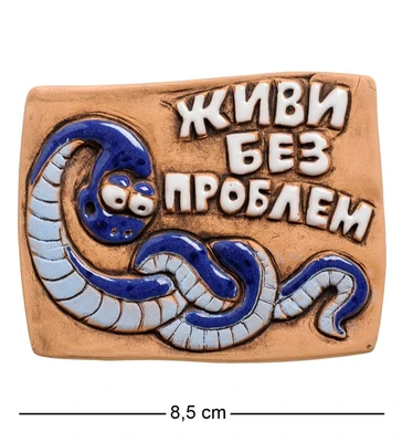 ФК- 7 Магнит «Живи без проблем!» (Step) 1258587185