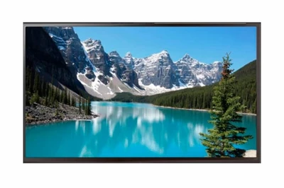 Профессиональная панель EWIN 55" DE55A 678584057