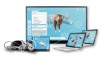 Интерактивное наглядное 3D пособие «Познание: Животные» 776458236