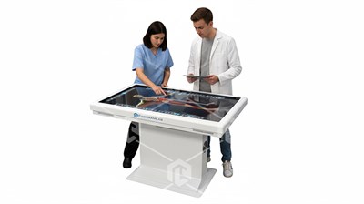 Интерактивный анатомический стол (металл) 65 дюймов 418304549