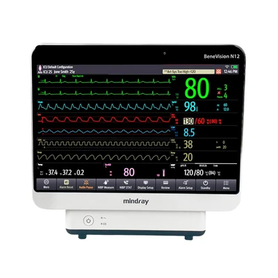 Монитор пациента Mindray BeneVision N12 1733023086