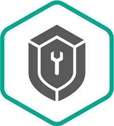 Расширенная техническая поддержка сертификат на 2 года Start 955343699