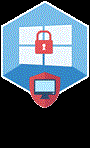 ElcomSoft Co.Ltd Advanced EFS Data Recovery (продление лицензии), Standard Edition Продление лицензии на 12 мес. 1224355381