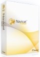 Navicat Premium (обновление для коммерческих организаций), from Navicat for MySQL Enterprise 1690163949