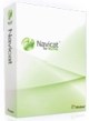 Navicat for MySQL (подписка, Subscription версии Standard для коммерческих организаций), на 1 год 200571621