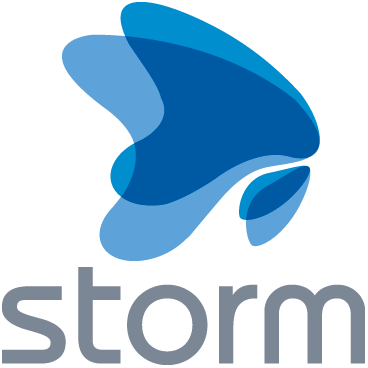 StormCorp Storm 1C коннектор (лицензия на 1 год), цена за 1 лицензию 871681429