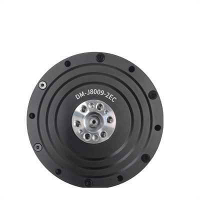 Бесщеточный серводвигатель DAMIAO DM-J8009-2EC 555039076