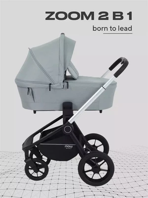 Коляска 2 в 1 Mowbaby Zoom Silver 2025 green tea 1248393265
