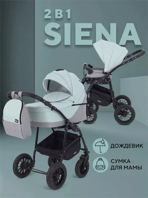 Коляска 2 в 1 Rant Siena 2024 10 серый-ментоловый 909898163