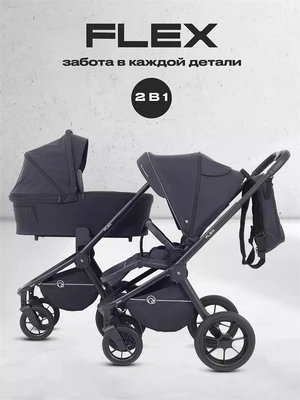 Коляска 2 в 1 Rant Flex 2025 RA076 Black 226055496