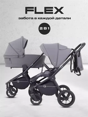 Коляска 2 в 1 Rant Flex 2025 RA076 Graphite 1657134471
