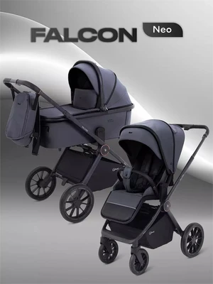 Коляска 2 в 1 Rant Falcon Neo Graphite 937022476