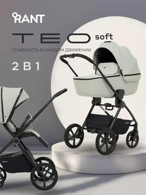 Коляска 2 в 1 Rant Teo Soft Sage 644890288