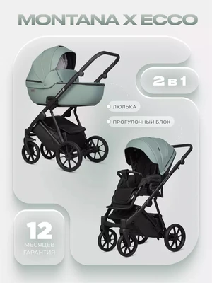 Коляска 2 в 1 Riko Basic Montana X Ecco 21 Green 2054837892