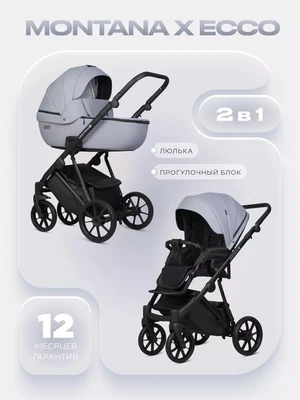 Коляска 2 в 1 Riko Basic Montana X Ecco 23 Grey 1420141841