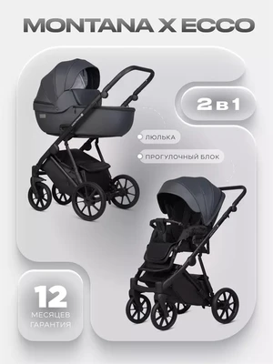 Коляска 2 в 1 Riko Basic Montana X Ecco 24 Graphite 441603483