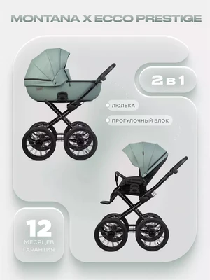 Коляска 2 в 1 Riko Basic Montana X Ecco Prestige 21 Green 671487929