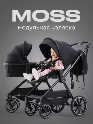 Коляска 2 в 1 Rant Moss Midnight black 909735405
