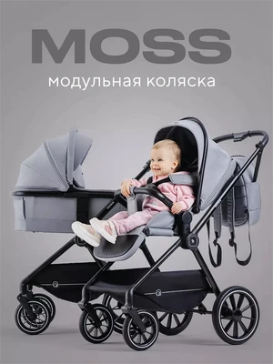 Коляска 2 в 1 Rant Moss Classic grey 1235346368