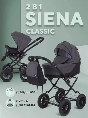 Коляска 2 в 1 Rant Siena Classic 2024 01 графит-серый 1603474764