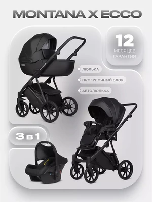 Коляска 3 в 1 Riko Basic Montana X Ecco 12 Black 543852446