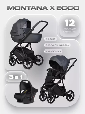 Коляска 3 в 1 Riko Basic Montana X Ecco 24 Graphite 1968410827