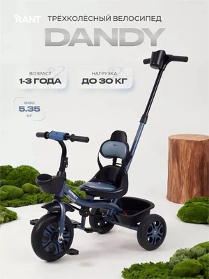 Велосипед 3-колесный Rant Basic Dandy Blue 446011389