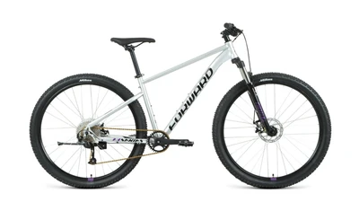 Велосипед 29' Forward Sporting 29 XX disc Серебро/Фиолетовый 20-21 г 1387497526
