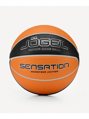 Мяч баскетбольный Jogel Sensation (BC25) 1/24 1568884448