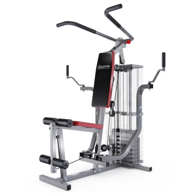 Силовой комплекс DFC HomeGym GBYQ-6000 461198770