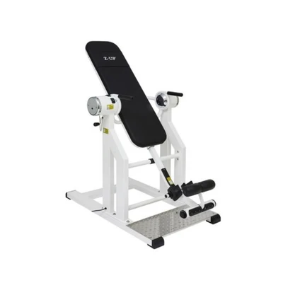 Инверсионный стол Z-UP-2SW, 220В, Корея, белая рама, черная спинка 1103095740