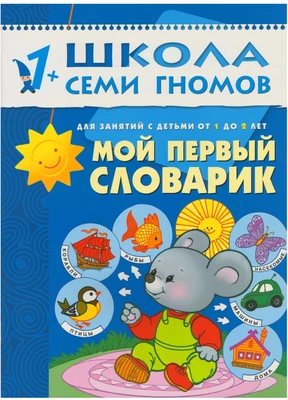 ШСГ Второй год обучения. Мой первый словарик. 852073031