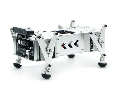 Программируемый робот-собака WHEELTEC BeeDog 772661472
