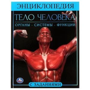 Тело человека.  Энциклопедия А4. 197х255мм, 48 стр.мелов. бумага, тв. переплет, Умка в кор.15шт 978-5-506-06178-6