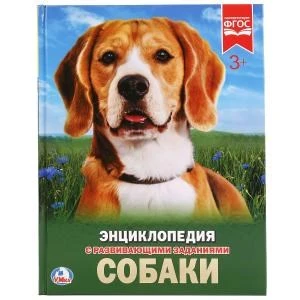 Собаки. (Энциклопедия А4 с развивающими заданиями). Формат: 197х255 мм. 48 стр. Умка в кор.15шт 978-5-506-02336-4